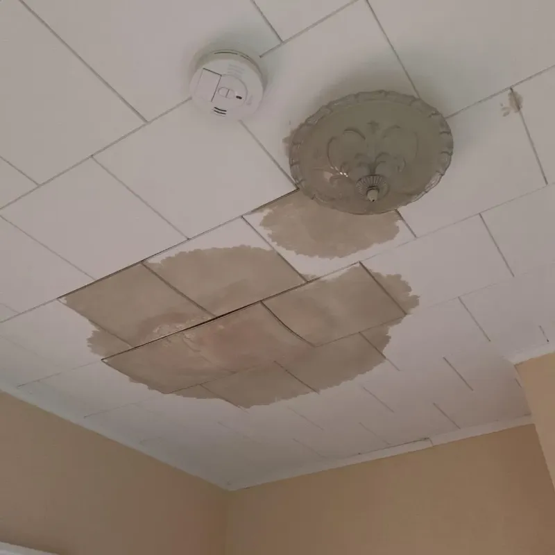 Ceiling Water Damage Repair in Medway, ME