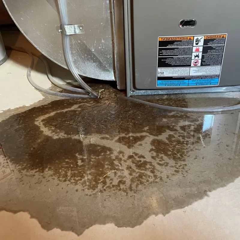 Pipe Burst and Leak Restoration in Medway, ME