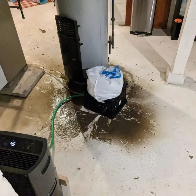 Sewage Backup Cleanup Service in Medway, ME